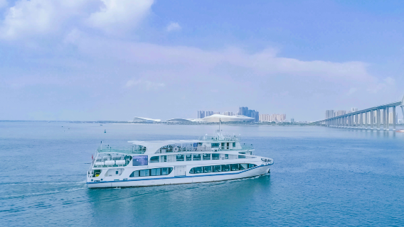 Zhanjiang Black-headed Gull Cruise