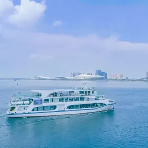 Zhanjiang Black-headed Gull Cruise