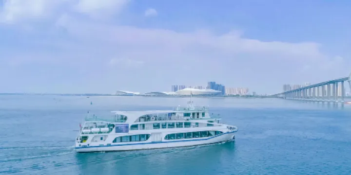 湛江紅嘴鷗遊船