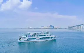 湛江紅嘴鷗遊船