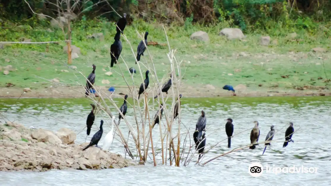 Hotels near Vellode Bird Sanctuary