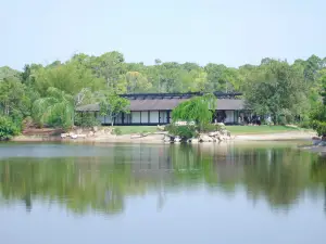 Morikami Museum and Japanese Gardens