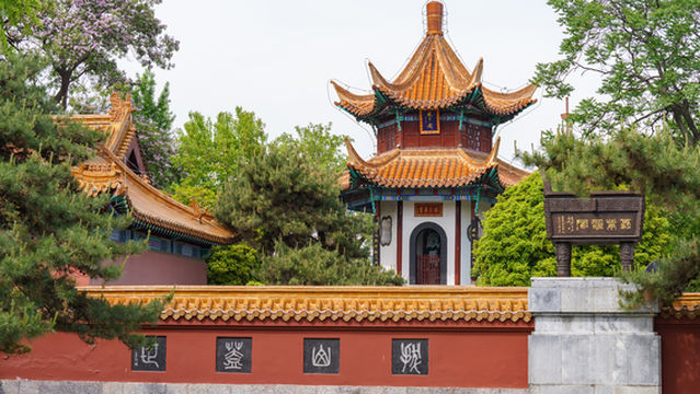 Horse-Training Terrace