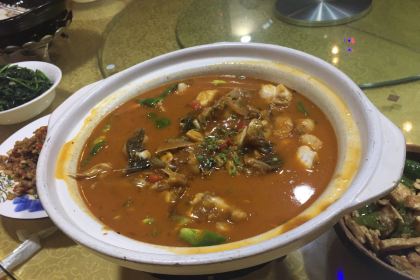 九环好日子酒家(新港大道店)