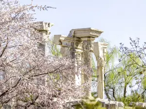 원명원(위엔밍위엔)