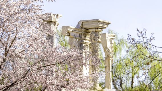 Yuanmingyuan 2.5H Full Guided Tour