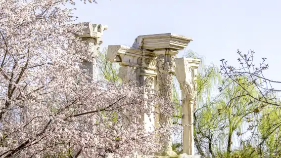 北京圓明園深度遊【資深導遊·全程講解·附贈無線耳機·體驗清代皇家園林】