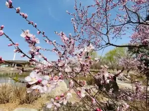 인촨 명취호 국가 습지공원