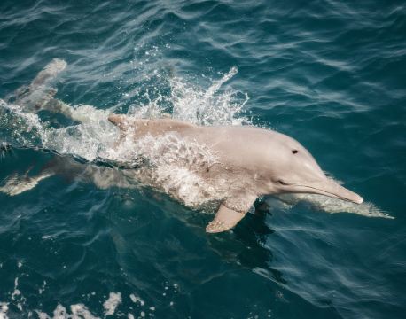 海塞卜 自由行套票