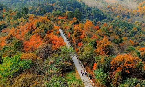 The Qishan Pingtian Lake Scenic Area