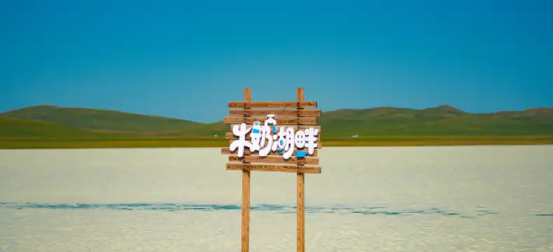 Hotels in Taibus Banner