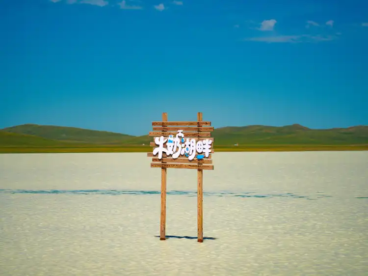 Hotels in Taibus Banner