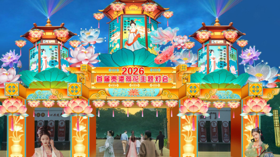 Guigang First Lotus Lantern Festival