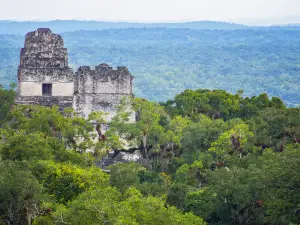 Templo IV, Tikal