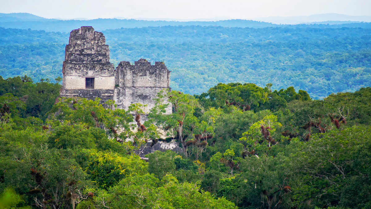 Templo IV, Tikal