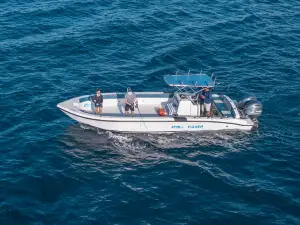 Atoll Fisher