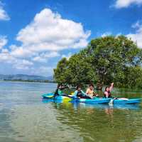 พาเรือคายัคชมธรรมชาติป่าชายเลน