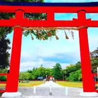 京都最古級にして世界遺産の神社