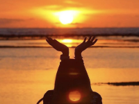 Gili Trawangan