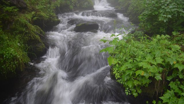 Grand Stage River Scenic Area