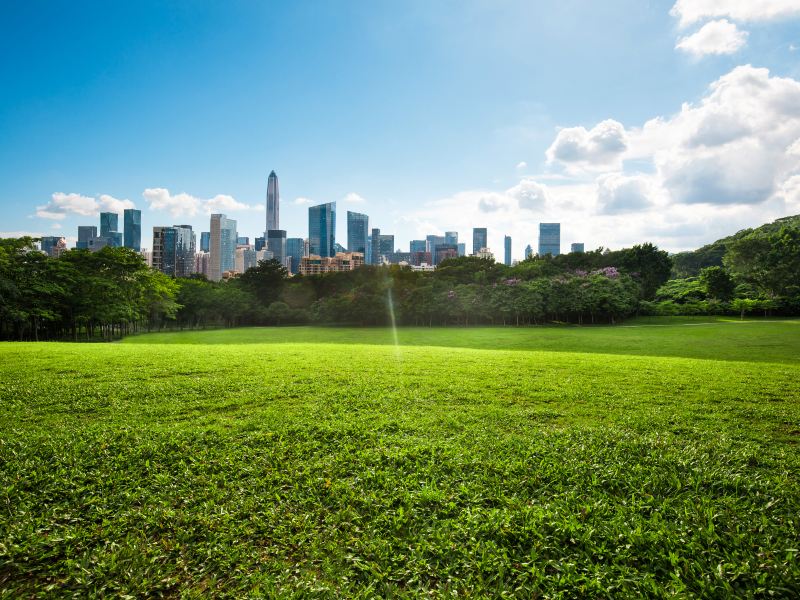 明湖城市公園