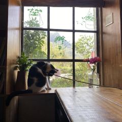 Little House Coffee 여행 사진
