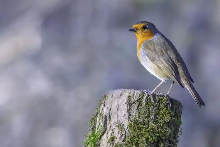 Hoteles cerca de The Excel Academy