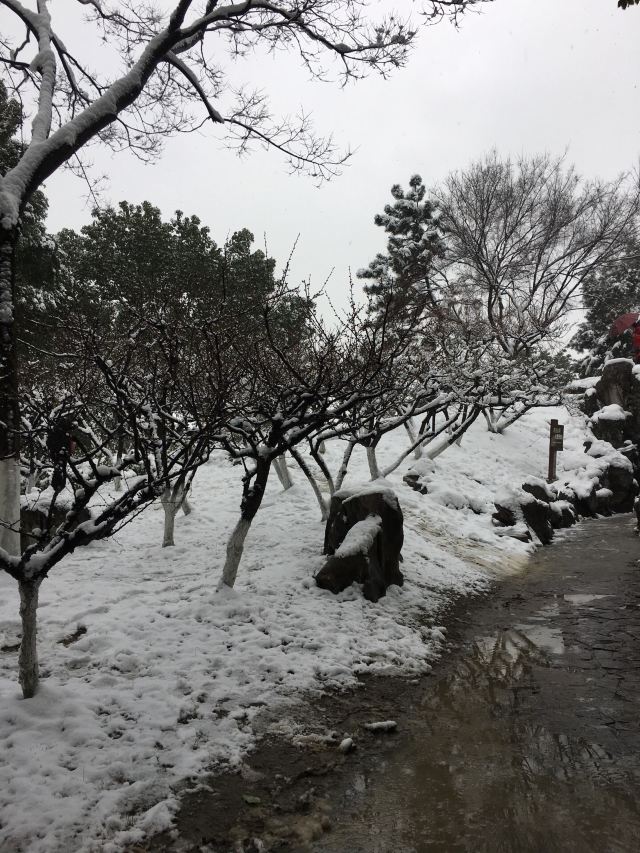 판먼