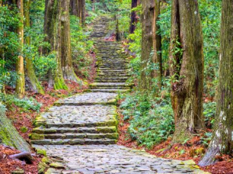 高原熊野神社 民宿