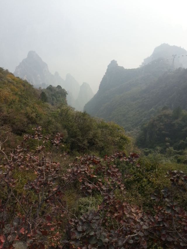 션농샨