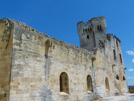 Abbaye de Montmajour