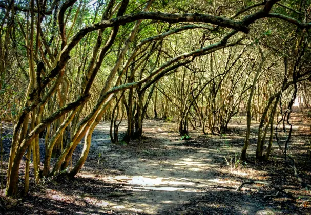 Отели рядом со станцией Ana Rosa Station