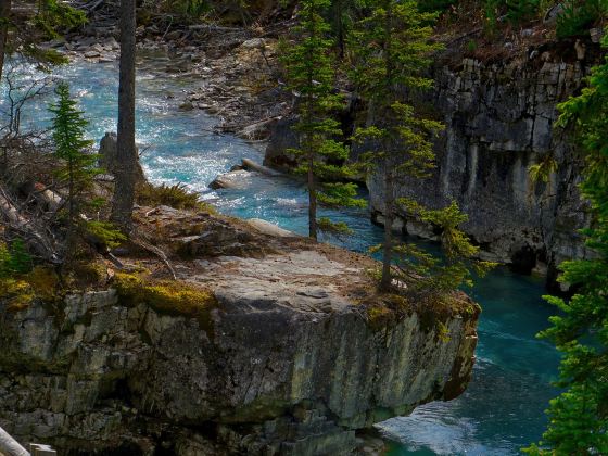 Maligne Canyon