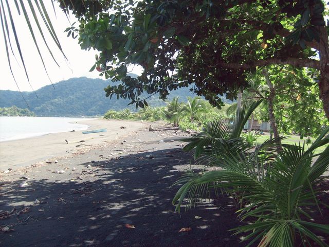 Visit Golfito beaches 