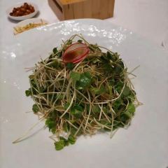 YUYANGONGGUAN User Photo