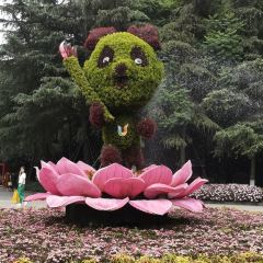 Zhong Dumplings User Photo