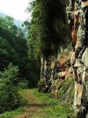 Wulong National Forest Park