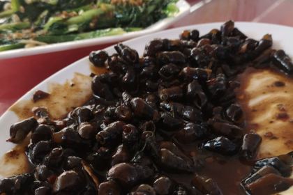 英聚楼农庄(40年老字号店)