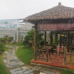 卷耳乡食生态餐厅 User Photo