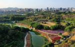 Songshan Lake Park