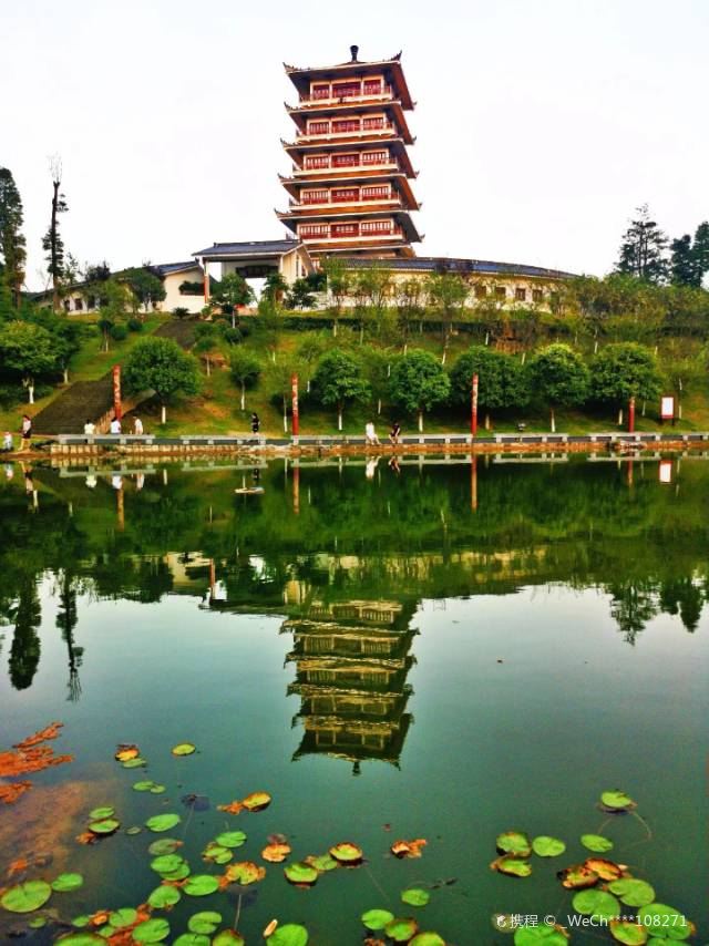 สวนป่าไผ่น่าน