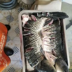 抚海湾石锅鱼·野生菌·猪肚包鸡(三十六年店) User Photo