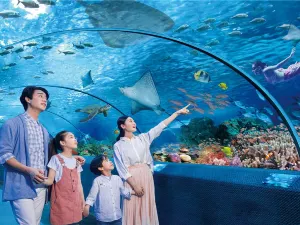 Changsha Sea World