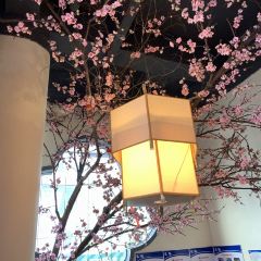 客觀民間菜 User Photo