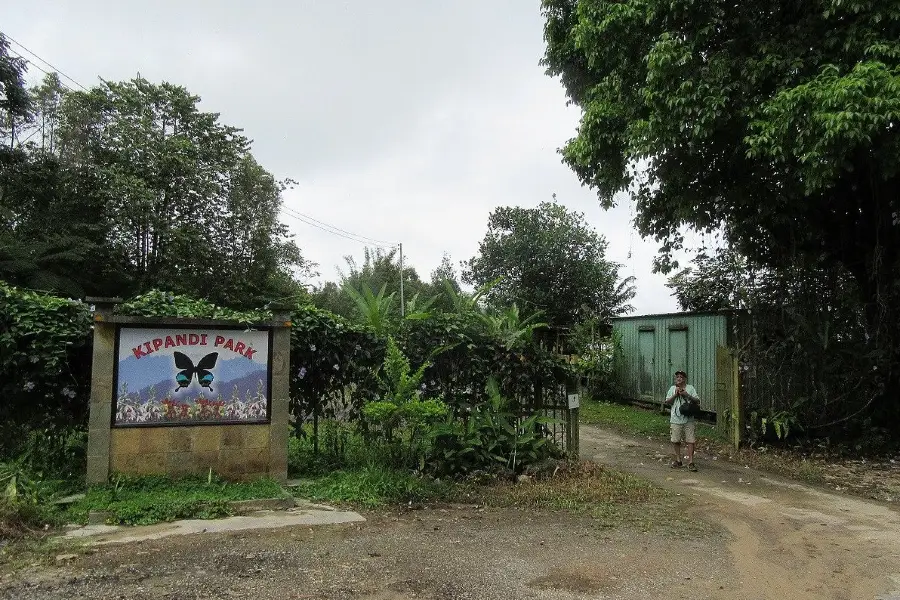 Kipandi Butterfly Farm