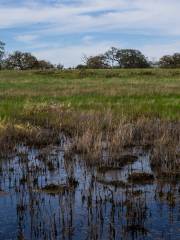 Santa Rosa Plateau Ecological Preserve