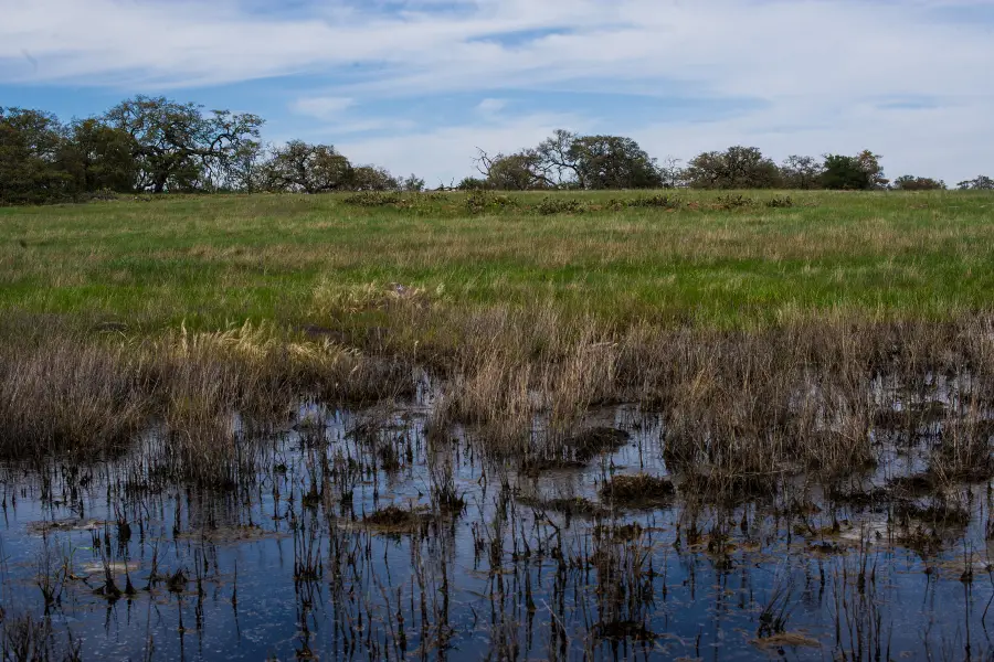 Santa Rosa Plateau Ecological Preserve