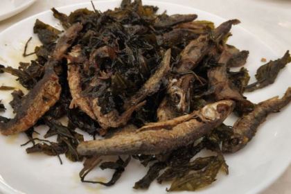 万盈·瑞凯森林温泉酒店-中餐厅