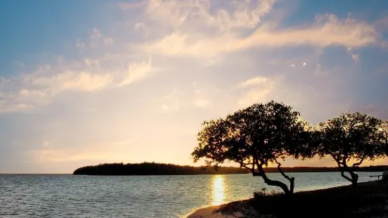 Curry Hammock State Park