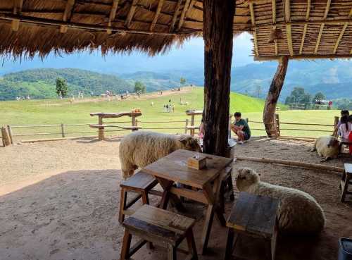 Akha FarmVille